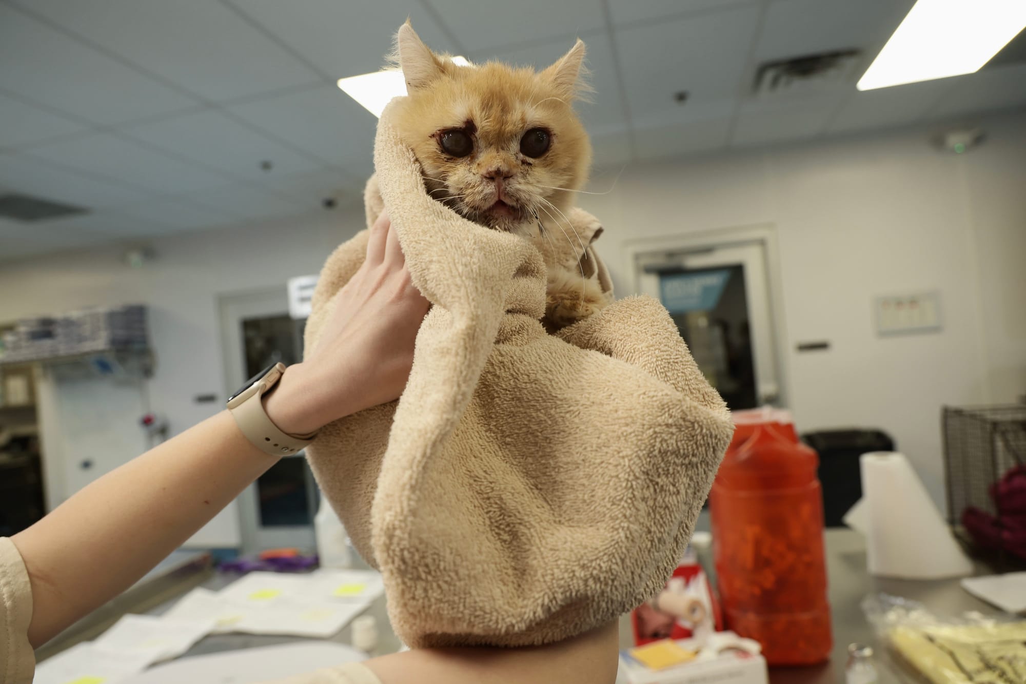 "A Case for Empathy" (we're only human, after all)