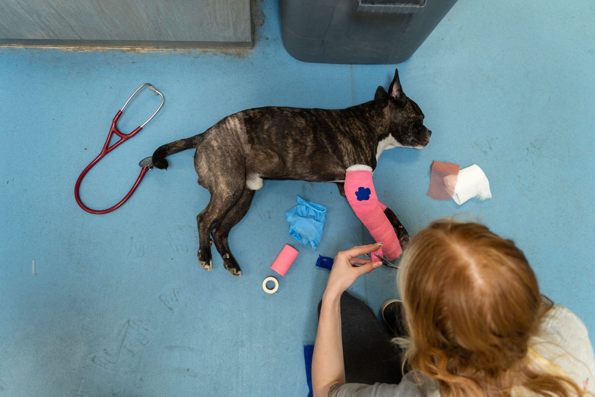 "A Case for Empathy" (we're only human, after all)