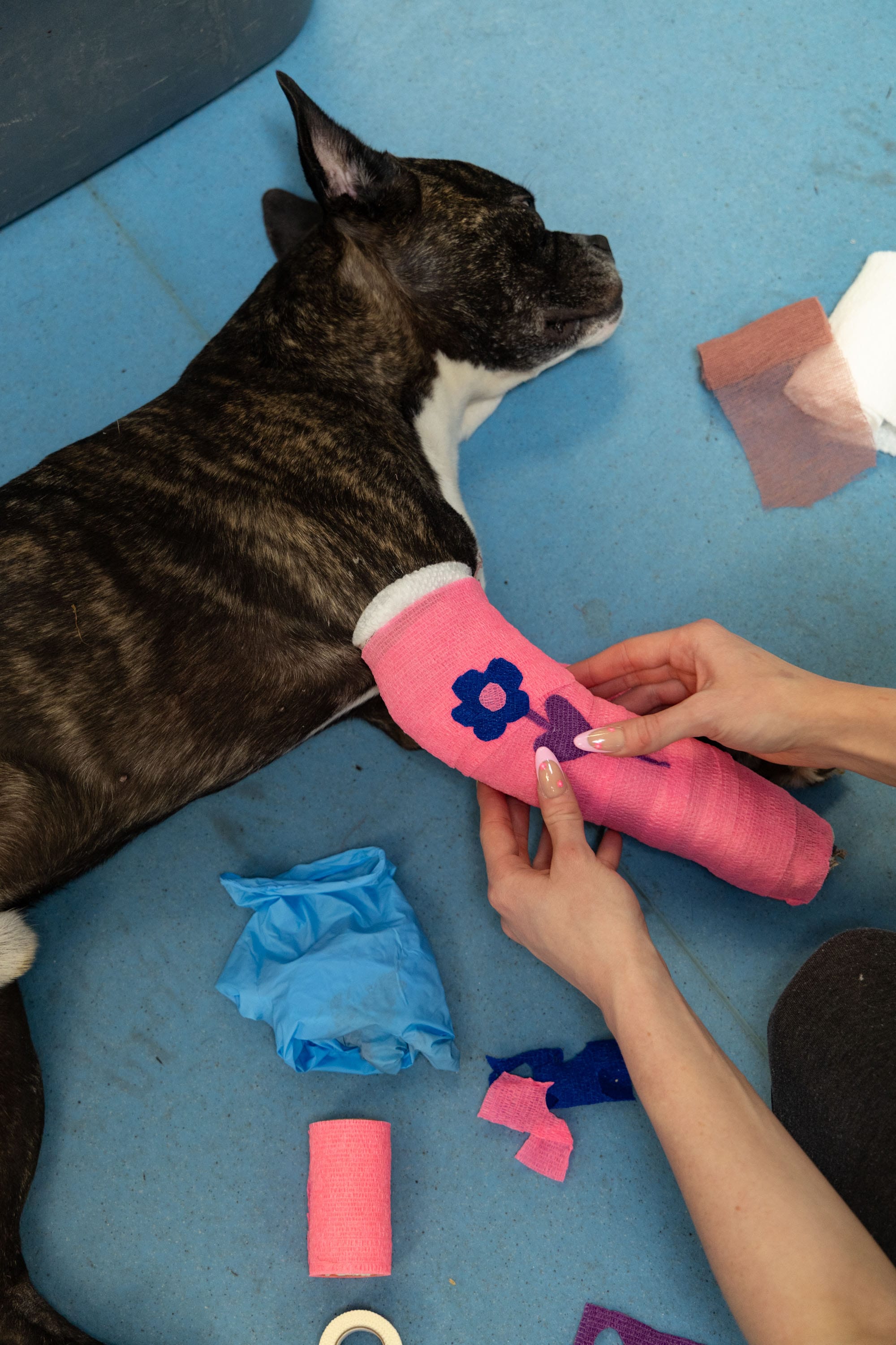 "A Case for Empathy" (we're only human, after all)