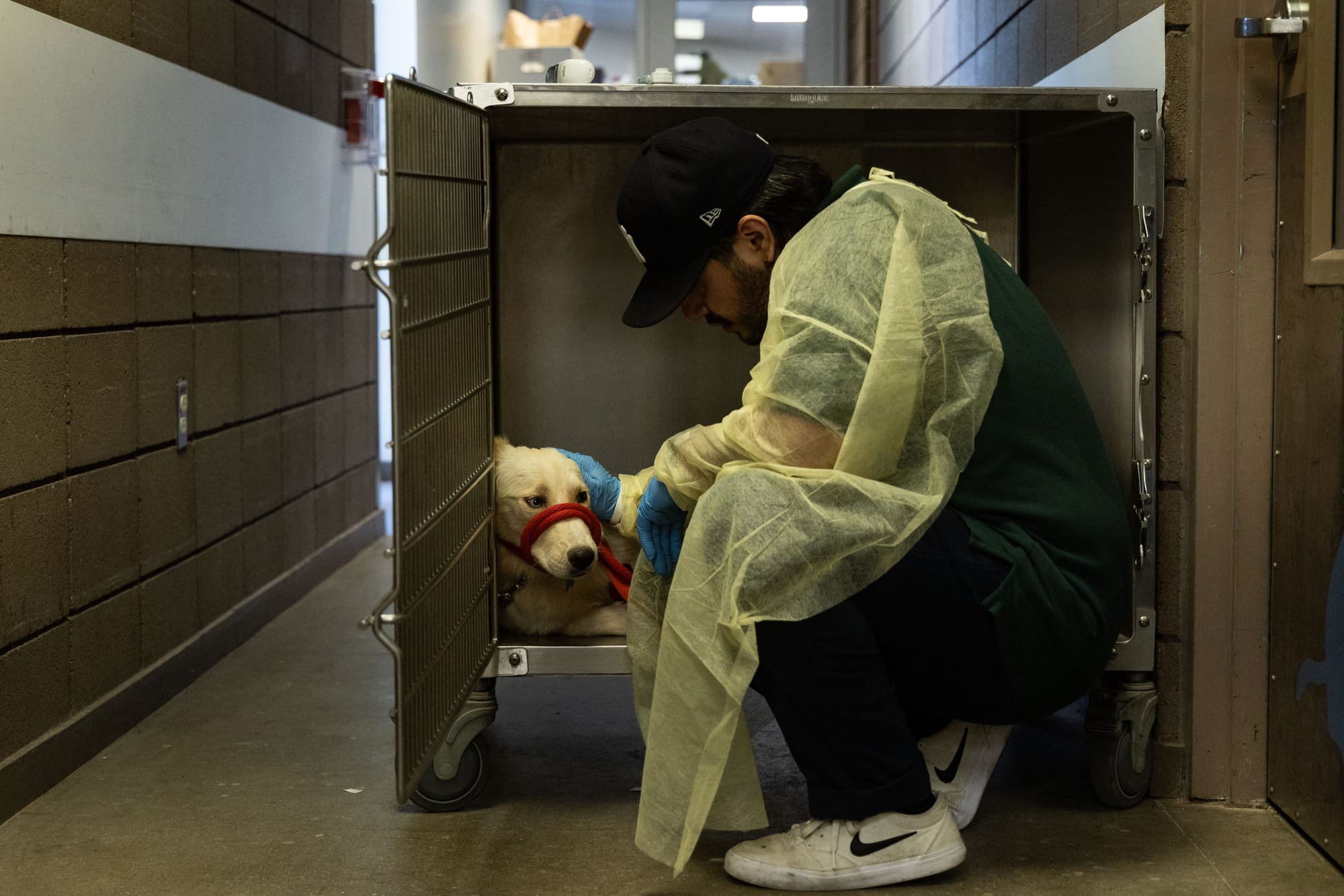 "A Case for Empathy" (we're only human, after all)