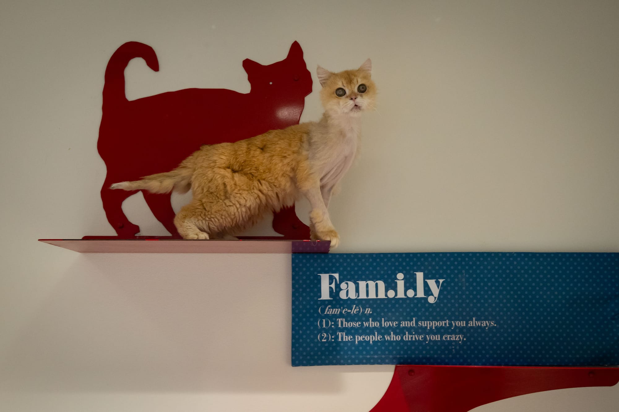 "A Case for Empathy" (we're only human, after all)