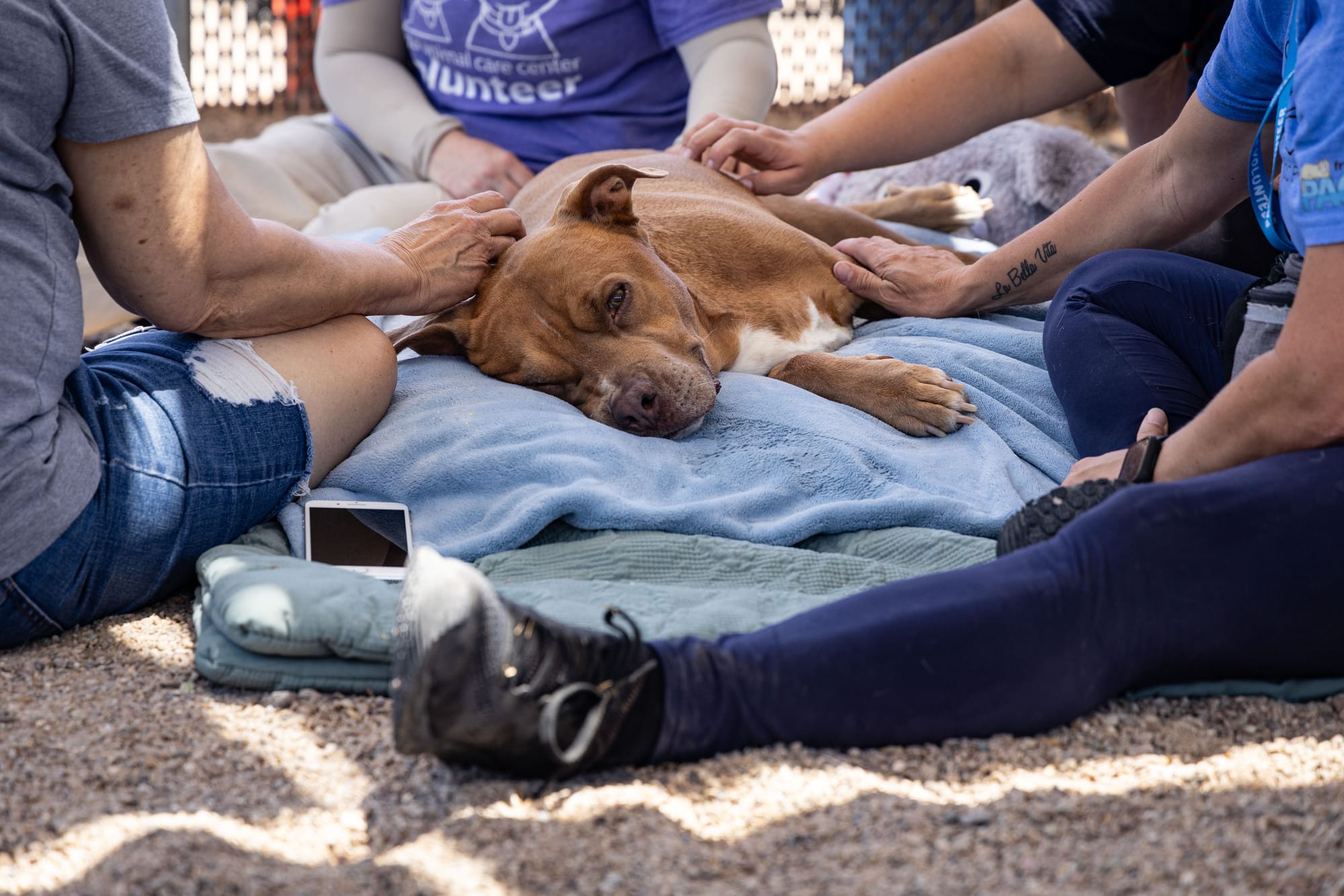 "A Case for Empathy" (we're only human, after all)