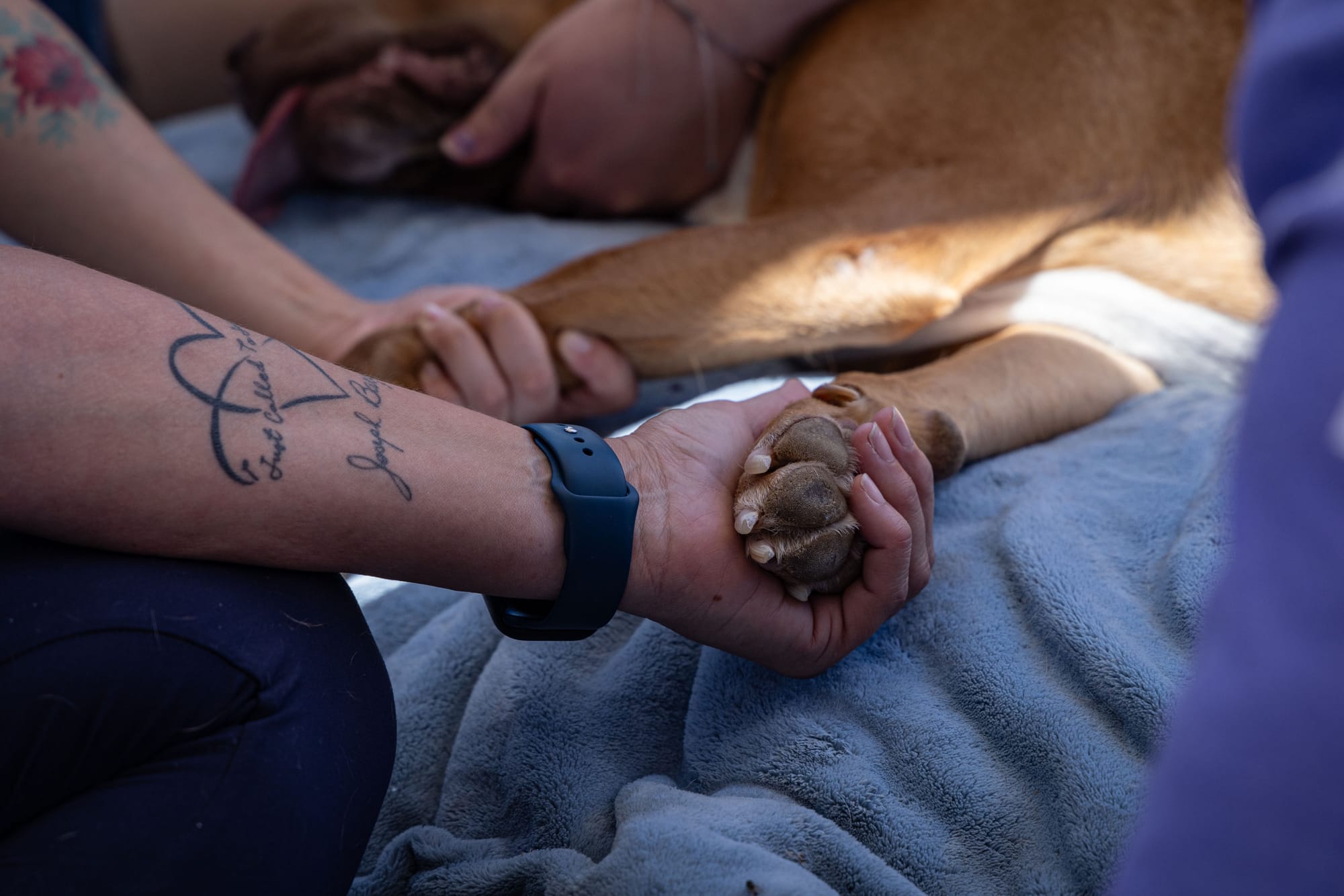 "A Case for Empathy" (we're only human, after all)