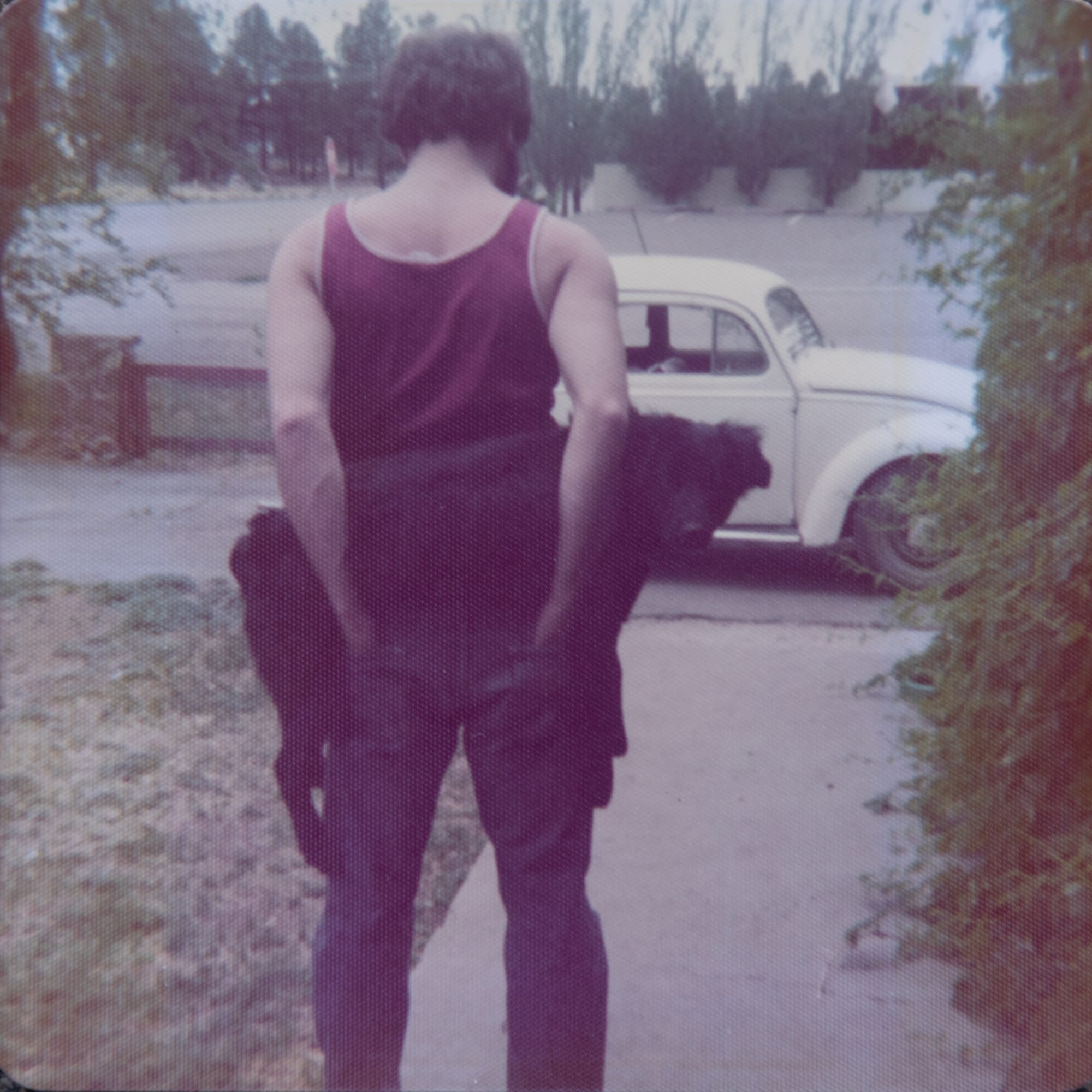 "Triage" (or, how a project began...)