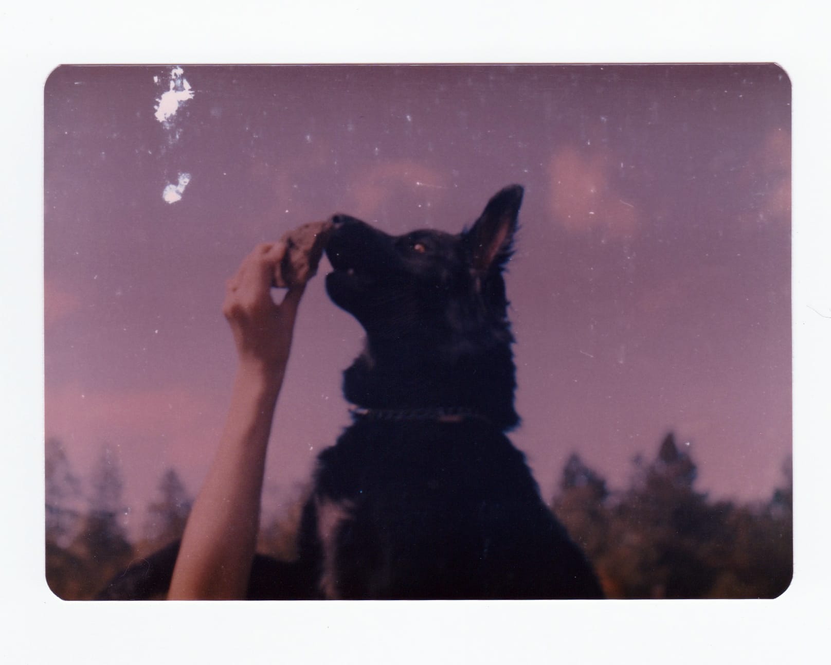 "Triage" (or, how a project began...)