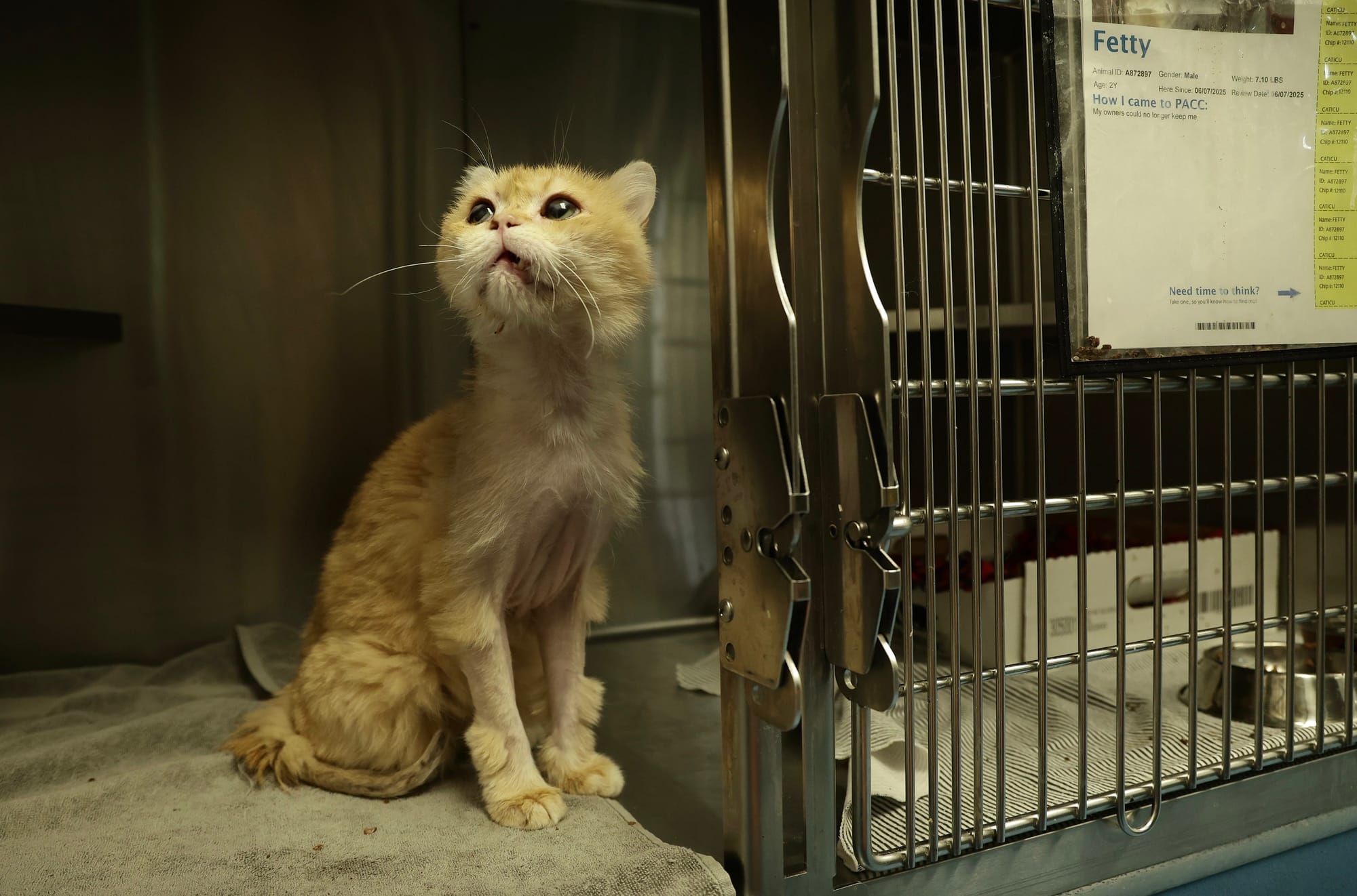 "A Case for Empathy" (we're only human, after all)