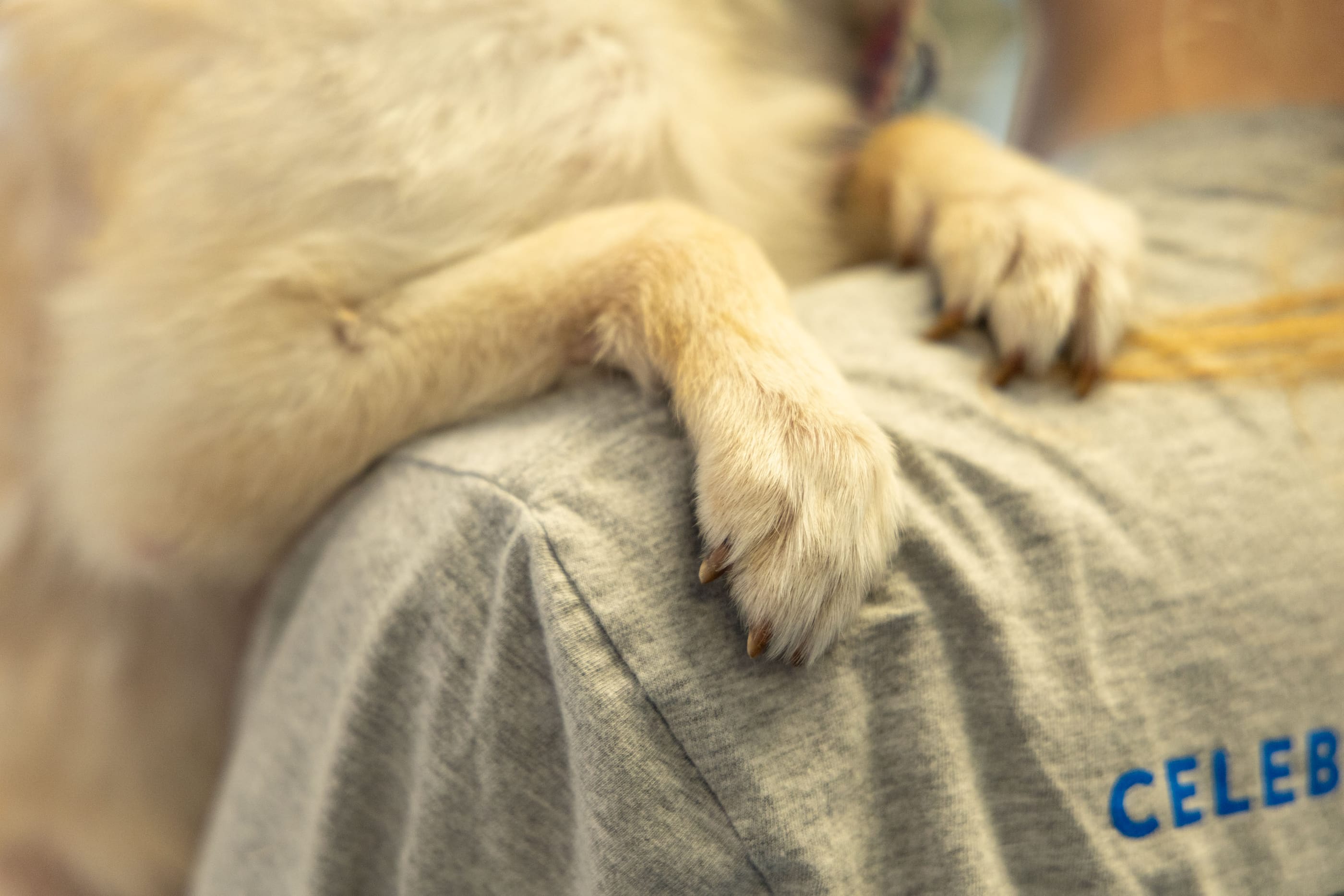 "A Case for Empathy" (we're only human, after all)